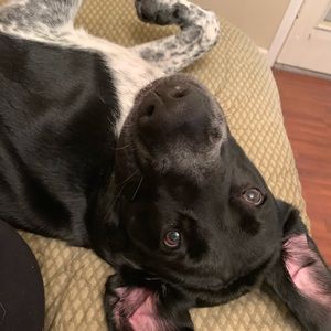 Meet your Posher, Mariah